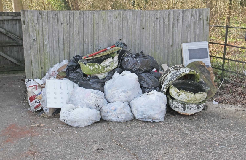 Hatley Parish Council engages villagers in an annual litter pick alongside the two mile stretch of the Croydon to Gamlingay running through the parish.  This is the result of the 2016 session.  The next session is on Sunday, 21st March 2019 – meet at Hatley Village Hall at 10.00 am (please wear sensible gloves and footwear).  Photo:  Peter Mann.