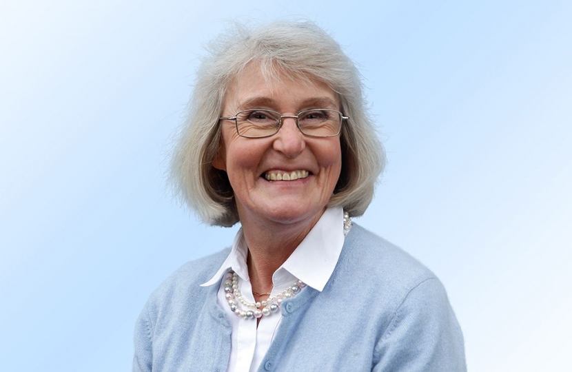 Enid Bald - Conservative candidate in the SCDC election on 5 May for Linton ward