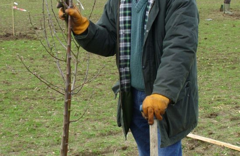 District Councillor Ray Manning planting an Egremont Russet apple tree at Coton 